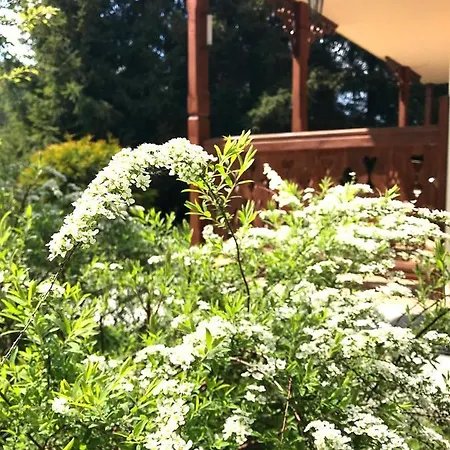 Apartmán Kornaje - Jaworki - Komfortowe Apartamenty, Basen, Sauna, Duzy Ogrod, Blisko Szlakow I Stoku Narciarskiego Szczawnica
